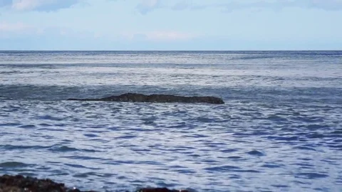 Kunashiri Island Video stock 75397404