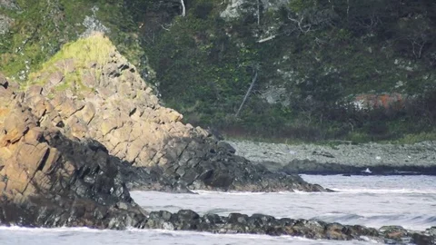 Kunashiri Island Video stock 75397410