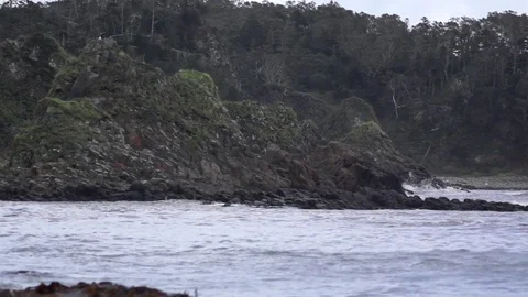 Kunashiri Island Video stock 75397416
