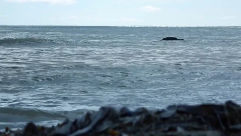 Kunashiri Island Video stock 75397423