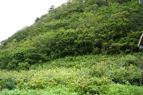 Kunashiri Island Stock Photos