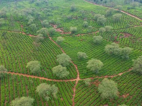 Kuneer Hill, Malang, East Java, Indonesia Stock Photos
