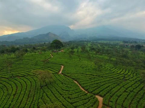 Kuneer Hill, Malang, East Java, Indonesia Stock Photos