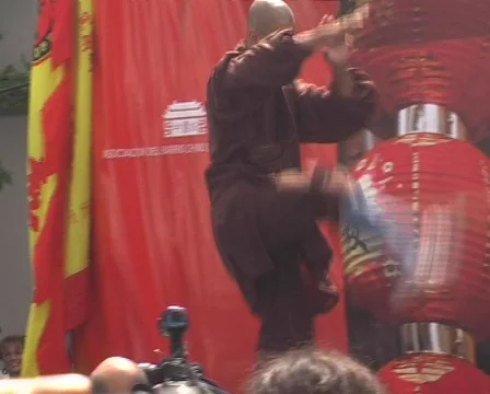 Kung Fu Stock-Footage 313381