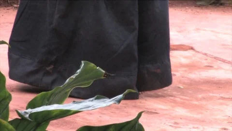 Kung fu sabre training in forest Stock Footage 80460188