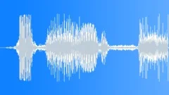 Kung fu whoosh to body hitSound Effect