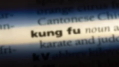 Kung fu word in a dictionary. Stock Footage 99562002
