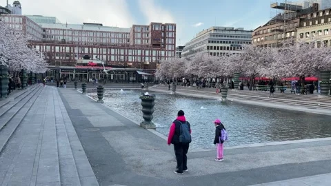 Kungsträdgården, Sweden. Stock Footage 253074960