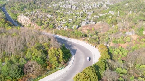 Kunming Stone Forest Karst Formations Scenic 4K Aerial Views Video stock 320508737