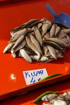 Kupa fish Stock Photos