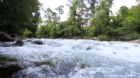 Kuraburi Emerald Rivulet 스톡 동영상 65566658