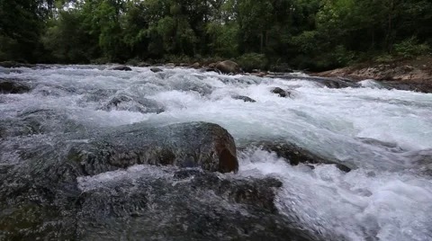 Kuraburi Emerald Rivulet 스톡 동영상 65566824
