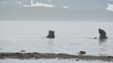 Kuril lake Stock Footage 91323375