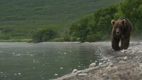Kuril lake 스톡 동영상 91323380