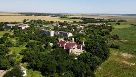 Kurisov Castle Vídeo Stock 296760136