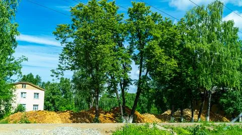 Куса Stock Photos