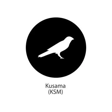 Kusama decentralized digital cryptocurrency vector logo icon Illustrazione stock