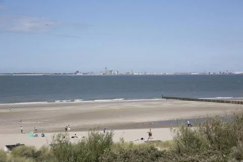 Küstenschutz durch hölzerne Buhnen am Sandstrand, im Hintergrund Vlissinge. Stock Photos