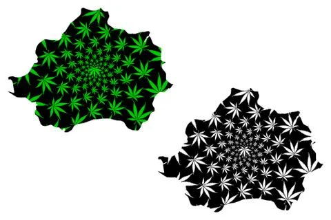 Kutahya (Provinces of the Republic of Turkey) map is designed cannabis leaf g Stock Illustration