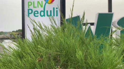 Kutang Beach Stock Footage 207592495