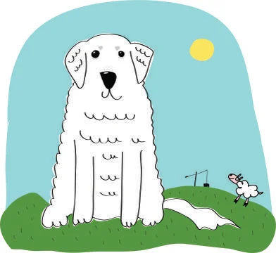 Kuvasz 스톡 일러스트