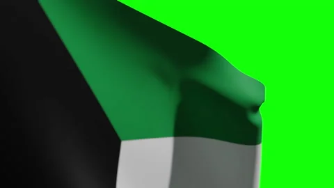 Kuwait Flag Close Stock Footage 136131508