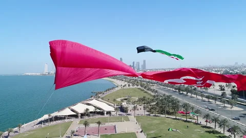 Kuwait flag kite Stock Footage 167510070