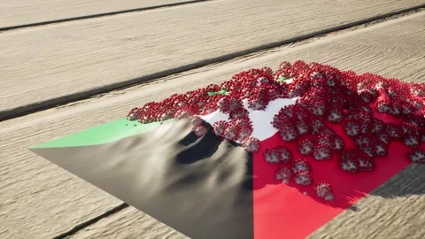 Kuwait Flag - Virus Growth Stock-Footage 320279980