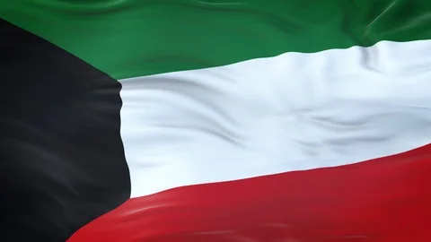 Kuwait flag waving in the wind with highly detailed fabric texture 動画素材 124713038