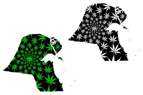 Kuwait - map is designed cannabis leaf Stock Illustration