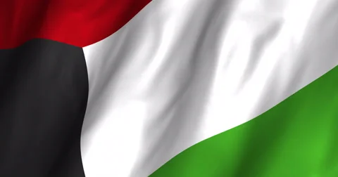 Kuwait waving flag 4K Stock Footage 51379739