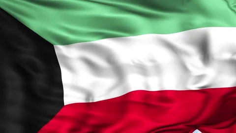Kuwait Waving Flag Background Stock Footage 204133973