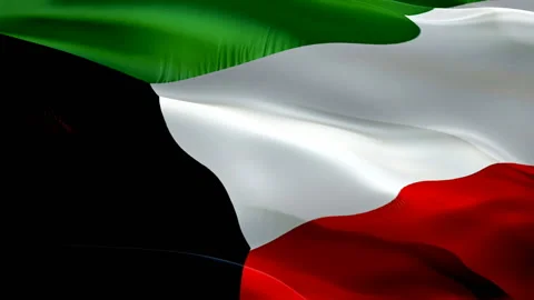 Kuwait waving flag. National 3d Kuwait flag waving. Sign of seamless Full HD Stock Footage 166313745