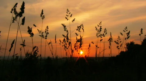 KvituSanrise Stock Footage 737602