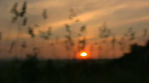 KvituSanriseFocuse Stock Footage 737494
