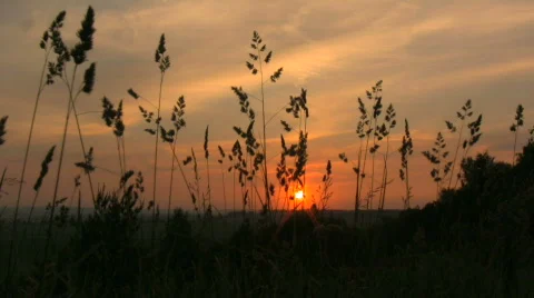 KvituSanriseTimelapse Stock Footage 737404