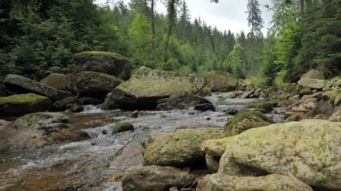 Kwisa River Rushing Over Mossy Boulders in Karkonosze Forest, Poland Vídeo Stock 343628886