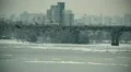 Kyiv Birds slowmotion HD Footage