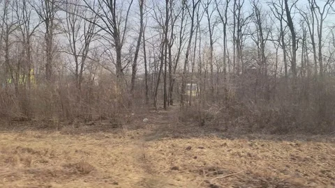 Kyiv Suburbs Beyond the Trees From the Train Going Kyiv to Lviv Stock Footage 187788225