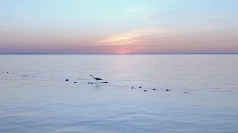 Kyivsea Vídeos de archivo 121779102