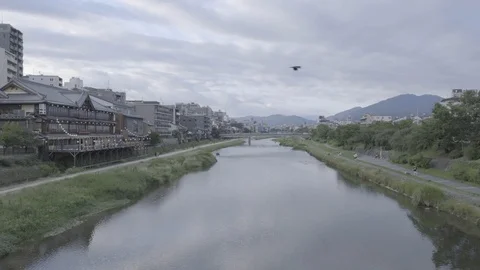KYOTO Bird flying over river in slow motion 100fps log modus Stock Footage 122915214