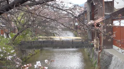 Kyoto bridge and stream 스톡 동영상 49707918
