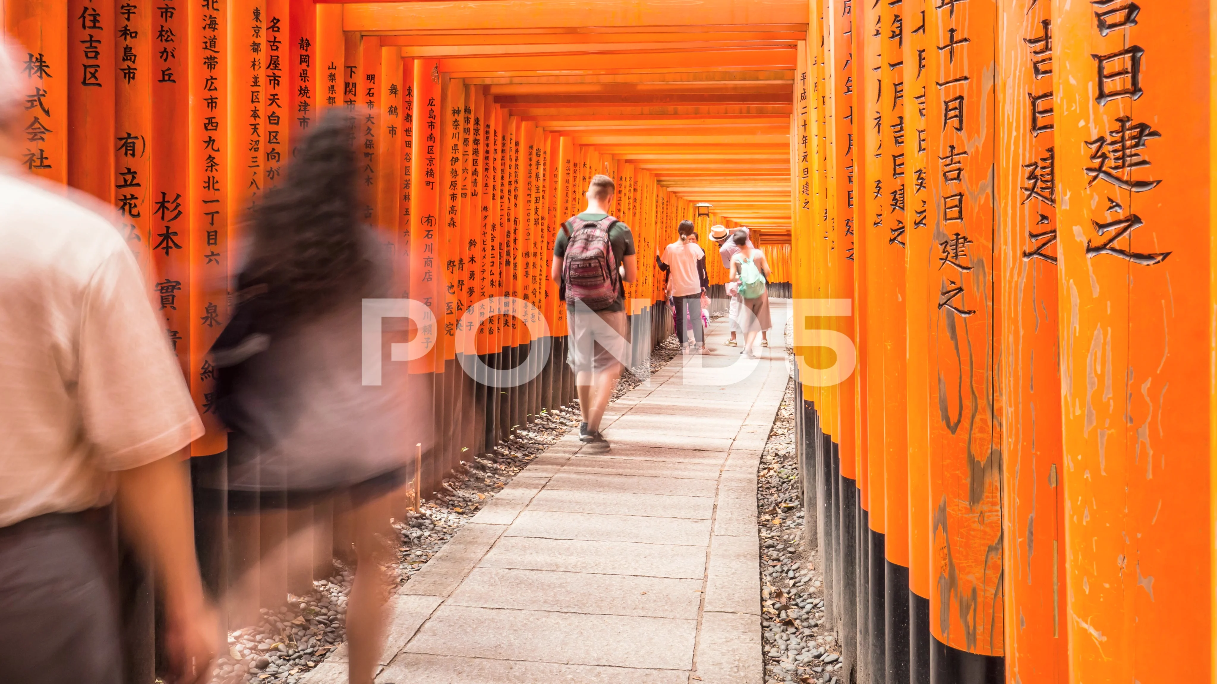 Kyoto Fushimi Inari Shrine Timelapse J Stock Video Pond5