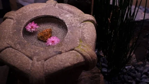 Kyoto, Japan Pontocho alley stone basin floating pink flowers on water Stock Footage