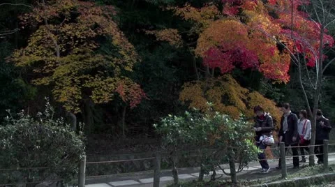 Kyoto Philosopher's Walk In Fall Vídeo Stock 21757199