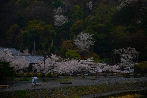 Kyoto Stock Photos