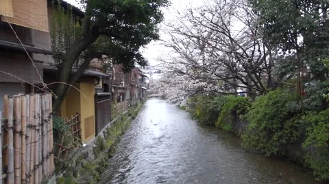 Kyoto scenic stream 스톡 동영상 49707836