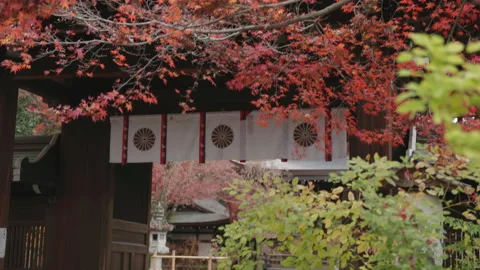 Kyoto Shrine Stock Footage 239239959