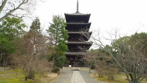 Kyoto Temple walk Video stock 200862193