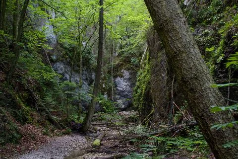 Kysel gorge Stock Photos